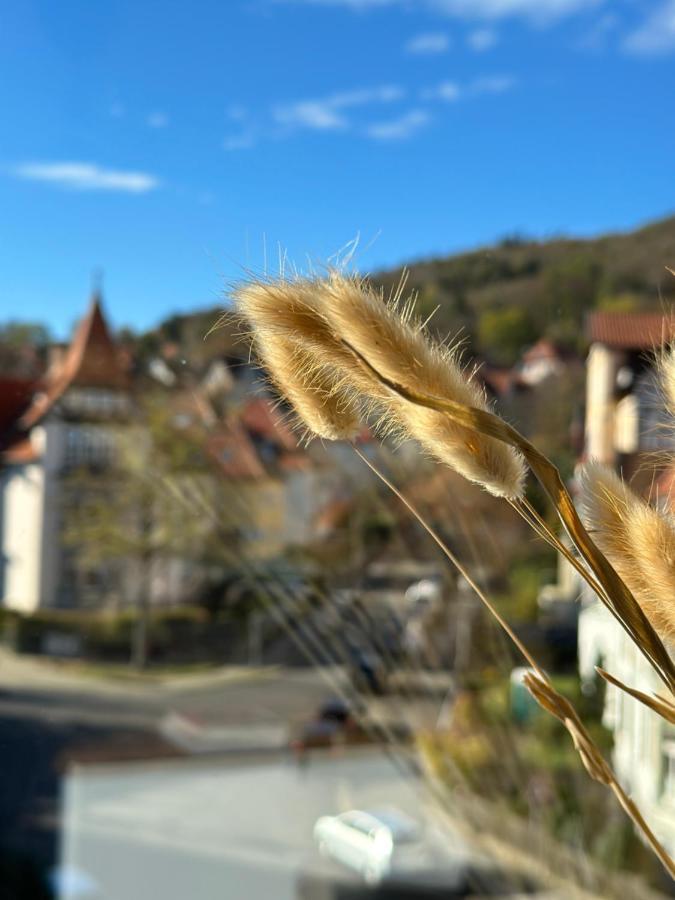 Turm.Blick Apartment Goslar Exterior photo